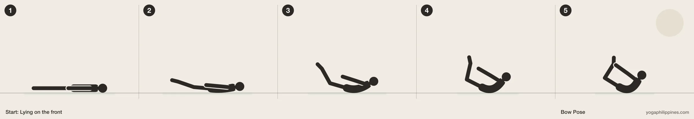 Bow Pose (Dhanurasana) step by step: 5 numbered line drawings moving from Lying on the front into the full pose