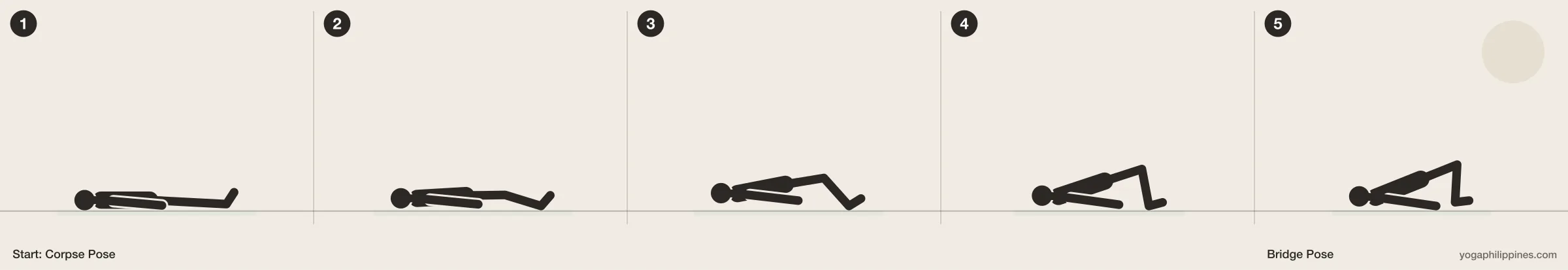 Bridge Pose (Setu Bandha Sarvangasana) step by step: 5 numbered line drawings moving from Corpse Pose into the full pose