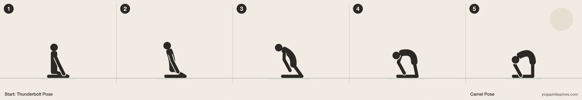 Camel Pose (Ustrasana) step by step: 5 numbered line drawings moving from Thunderbolt Pose into the full pose