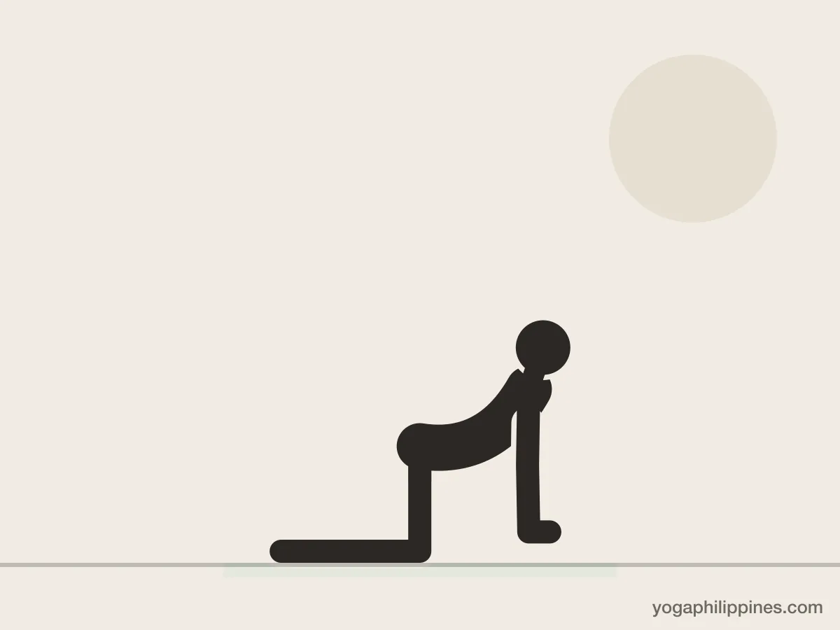 Line drawing of Cow (Bitilasana), side view, the full pose on a yoga mat