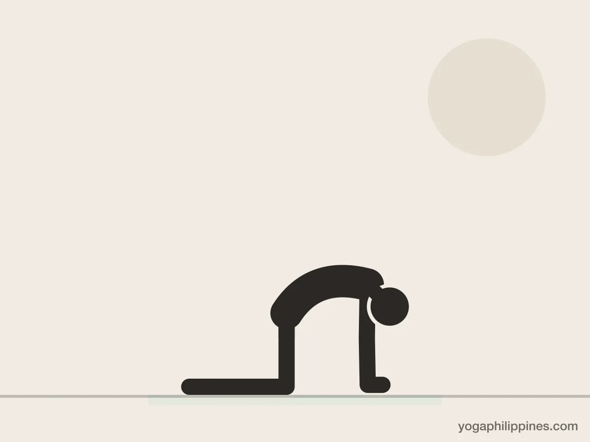 Line drawing of Cat (Marjaryasana), side view, the full pose on a yoga mat