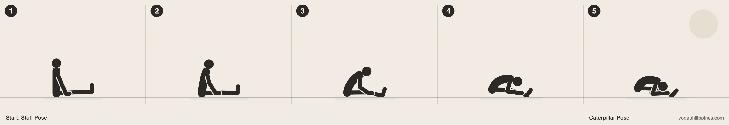 Caterpillar Pose step by step: 5 numbered line drawings moving from Staff Pose into the full pose