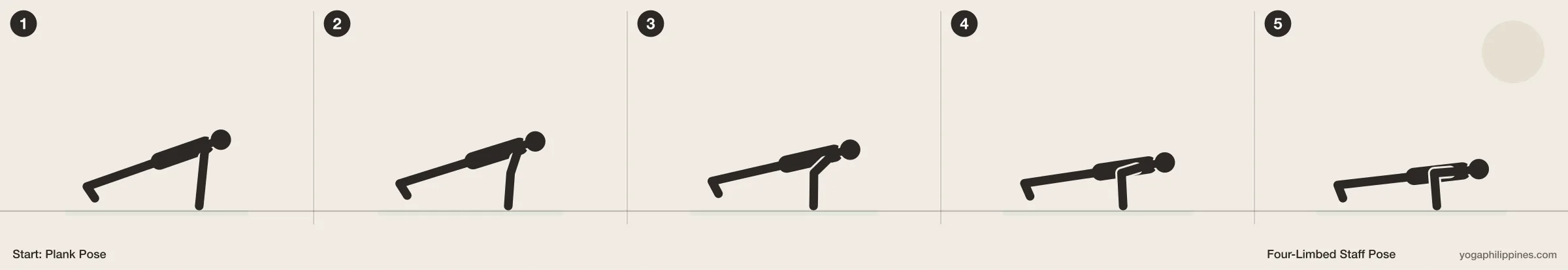 Four-Limbed Staff Pose (Chaturanga Dandasana) step by step: 5 numbered line drawings moving from Plank Pose into the full pose