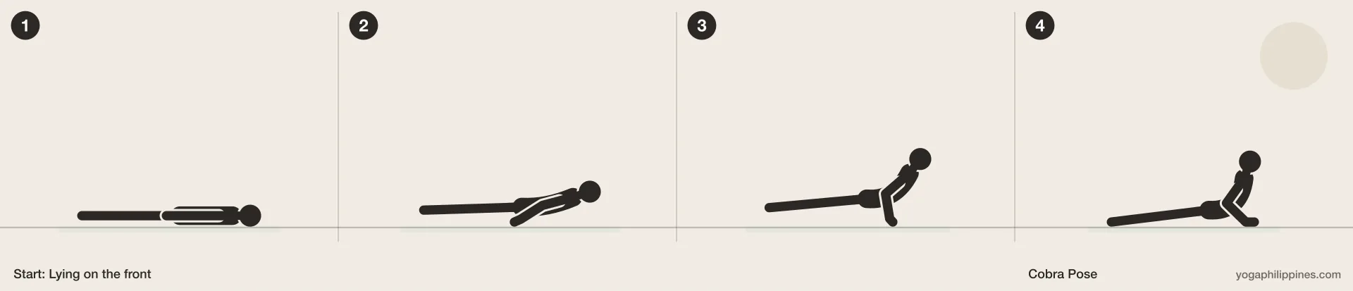 Cobra Pose (Bhujangasana) step by step: 4 numbered line drawings moving from Lying on the front into the full pose