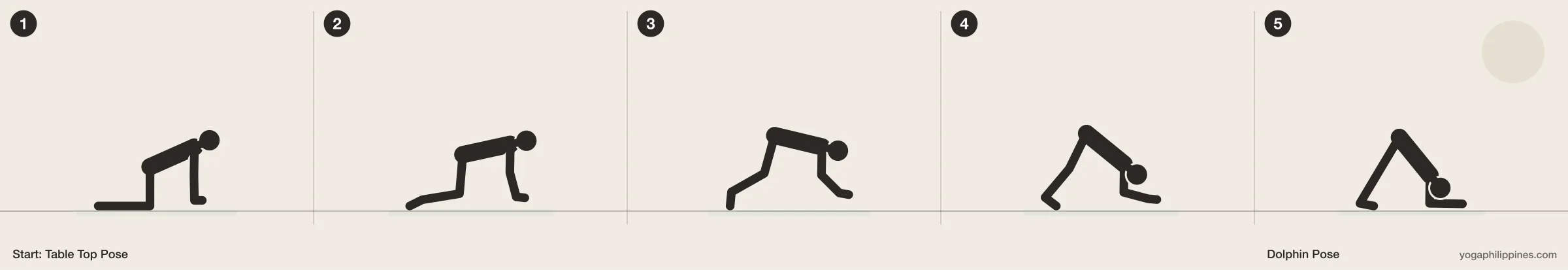 Dolphin Pose (Ardha Pincha Mayurasana) step by step: 5 numbered line drawings moving from Table Top Pose into the full pose