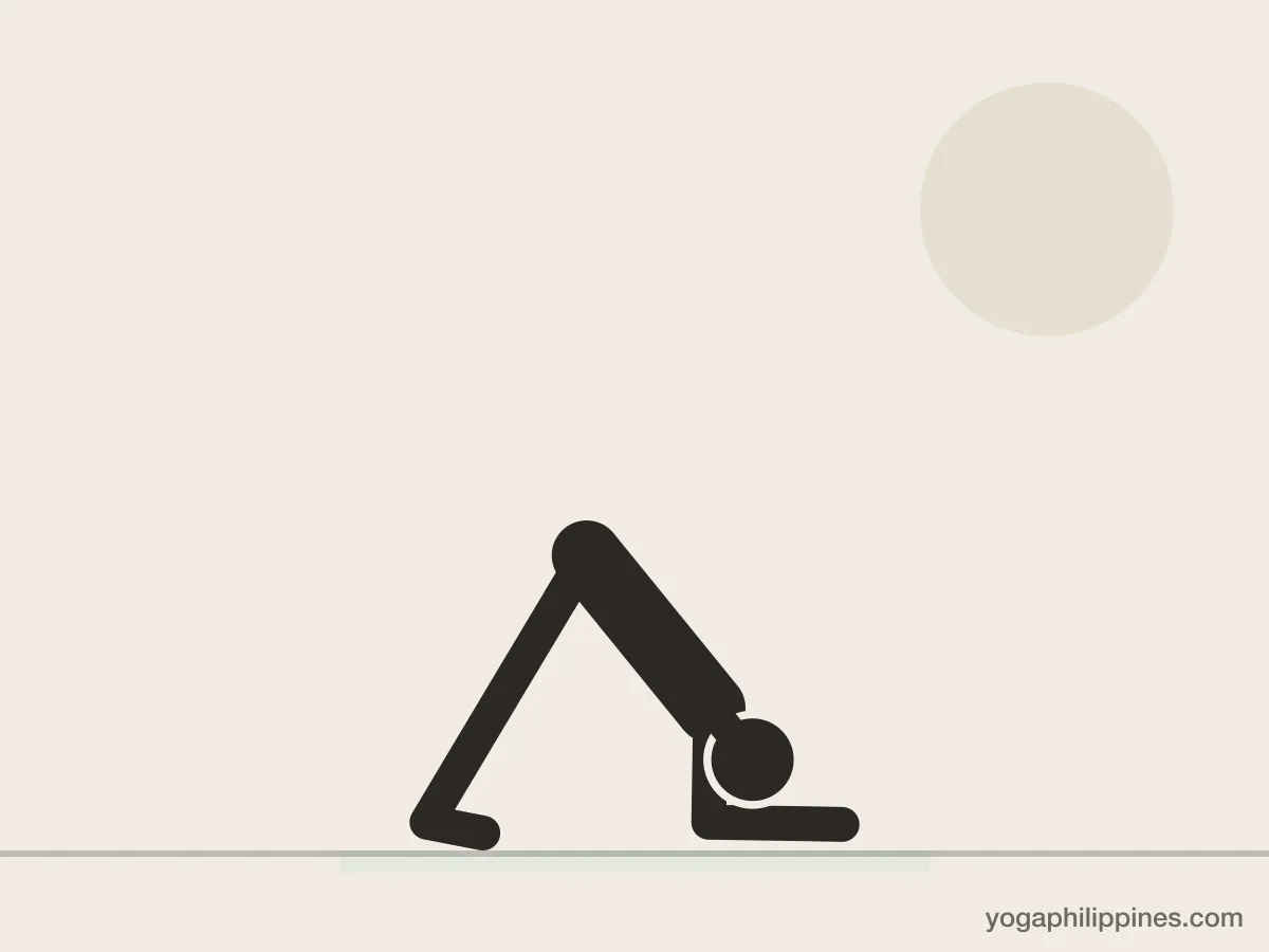 Line drawing of Dolphin Pose (Ardha Pincha Mayurasana), side view, the full pose on a yoga mat