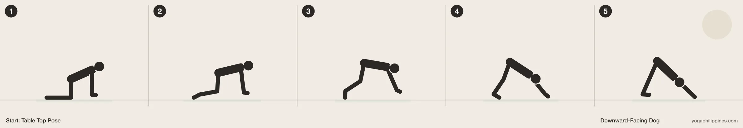 Downward-Facing Dog (Adho Mukha Svanasana) step by step: 5 numbered line drawings moving from Table Top Pose into the full pose
