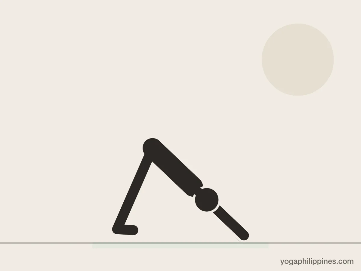 Line drawing of Downward-Facing Dog (Adho Mukha Svanasana), side view, the full pose on a yoga mat