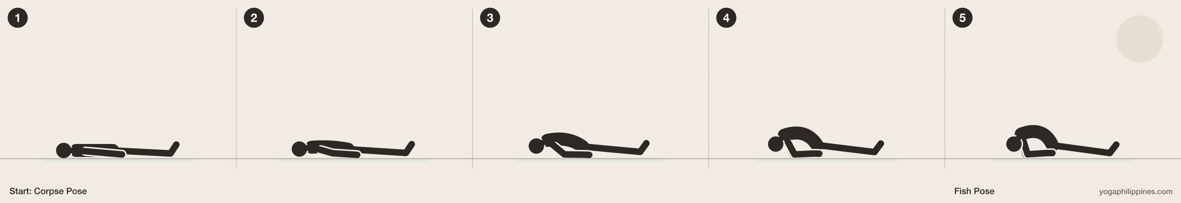 Fish Pose (Matsyasana) step by step: 5 numbered line drawings moving from Corpse Pose into the full pose