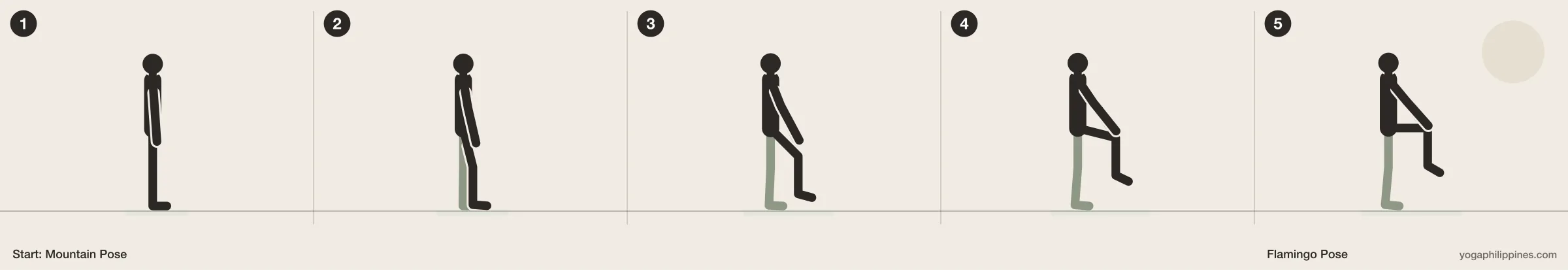 Flamingo Pose step by step: 5 numbered line drawings moving from Mountain Pose into the full pose