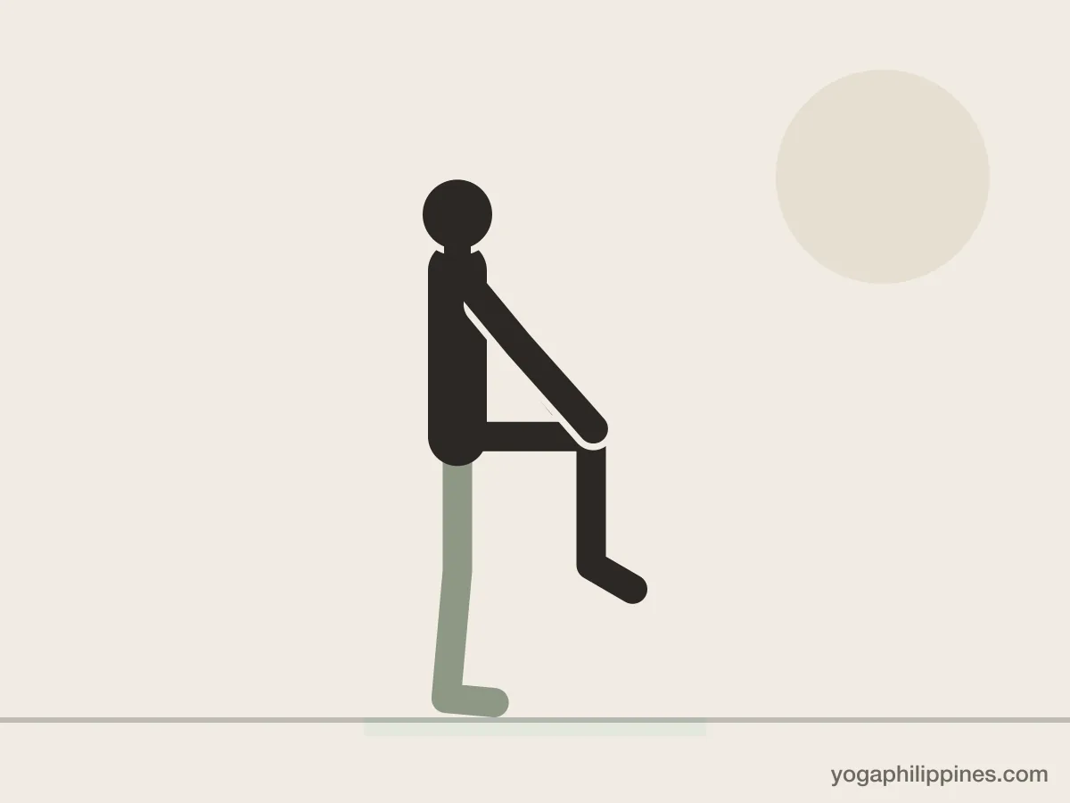 Line drawing of Flamingo Pose, side view, the full pose on a yoga mat