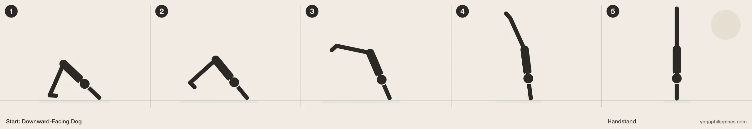 Handstand (Adho Mukha Vrksasana) step by step: 5 numbered line drawings moving from Downward-Facing Dog into the full pose