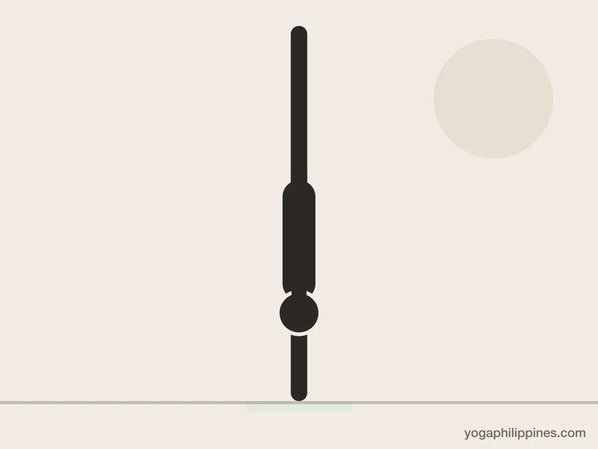 Line drawing of Handstand (Adho Mukha Vrksasana), side view, the full pose on a yoga mat