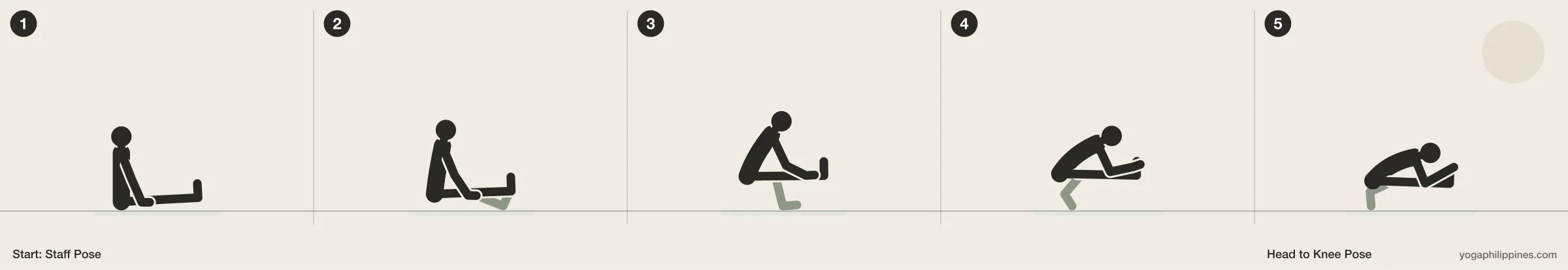 Head to Knee Pose (Janu Sirsasana) step by step: 5 numbered line drawings moving from Staff Pose into the full pose