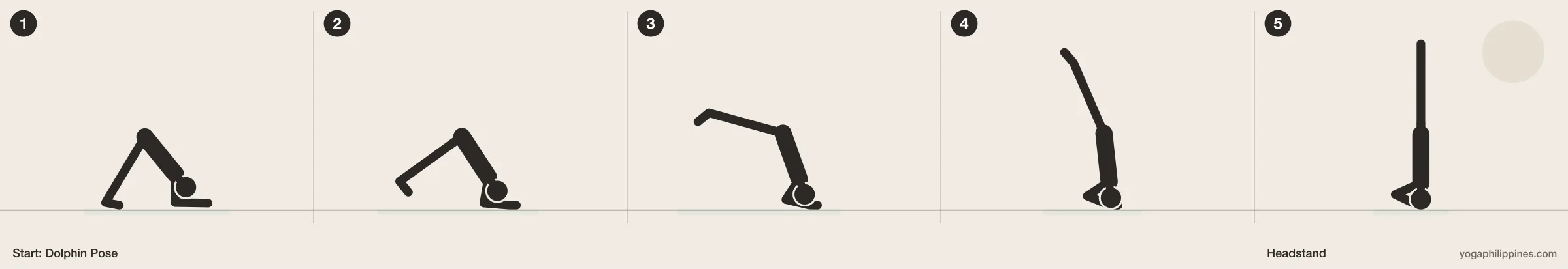 Headstand (Sirsasana) step by step: 5 numbered line drawings moving from Dolphin Pose into the full pose