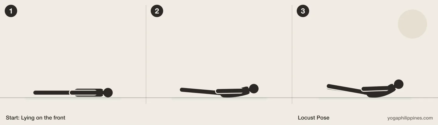 Locust Pose (Salabhasana) step by step: 3 numbered line drawings moving from Lying on the front into the full pose