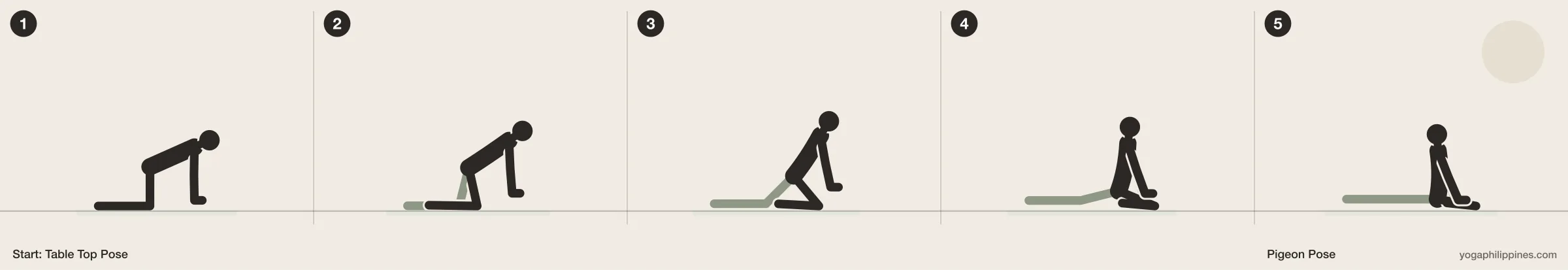 Pigeon Pose (Eka Pada Rajakapotasana) step by step: 5 numbered line drawings moving from Table Top Pose into the full pose