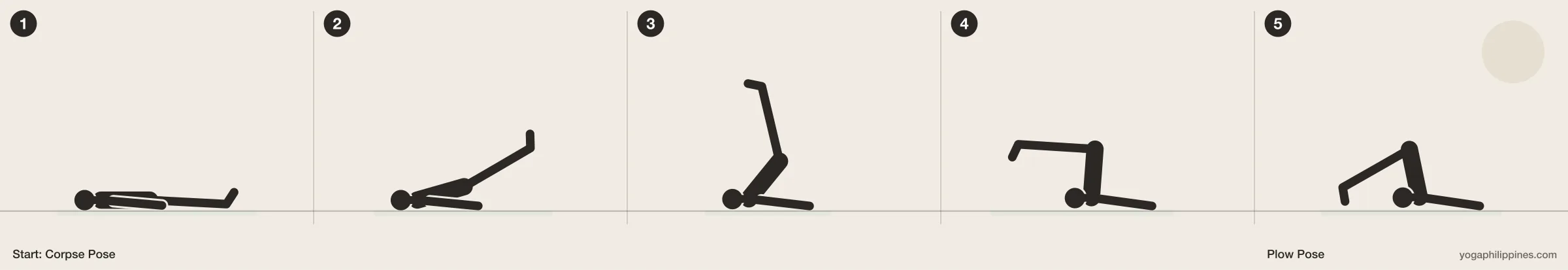 Plow Pose (Halasana) step by step: 5 numbered line drawings moving from Corpse Pose into the full pose