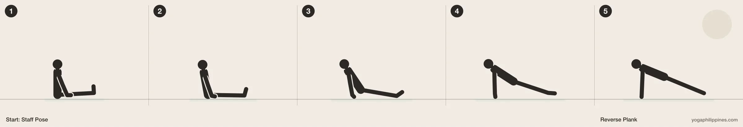 Reverse Plank (Purvottanasana) step by step: 5 numbered line drawings moving from Staff Pose into the full pose