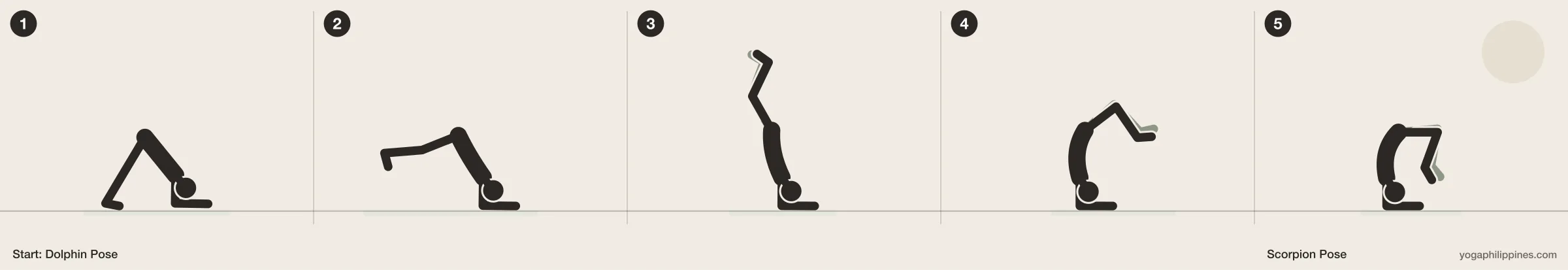 Scorpion Pose (Vrschikasana) step by step: 5 numbered line drawings moving from Dolphin Pose into the full pose