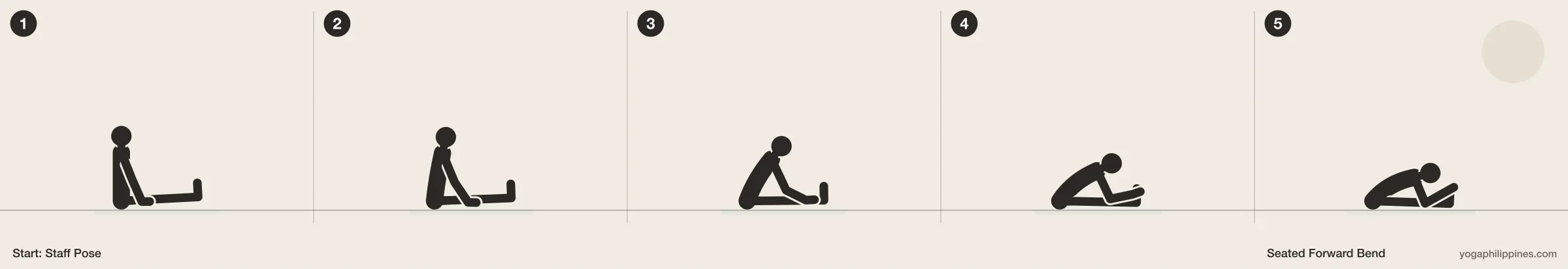 Seated Forward Bend (Paschimottanasana) step by step: 5 numbered line drawings moving from Staff Pose into the full pose