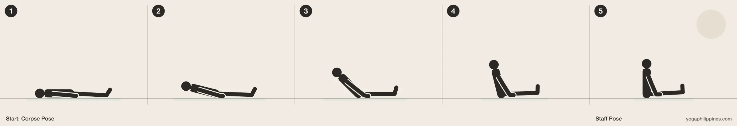 Staff Pose (Dandasana) step by step: 5 numbered line drawings moving from Corpse Pose into the full pose