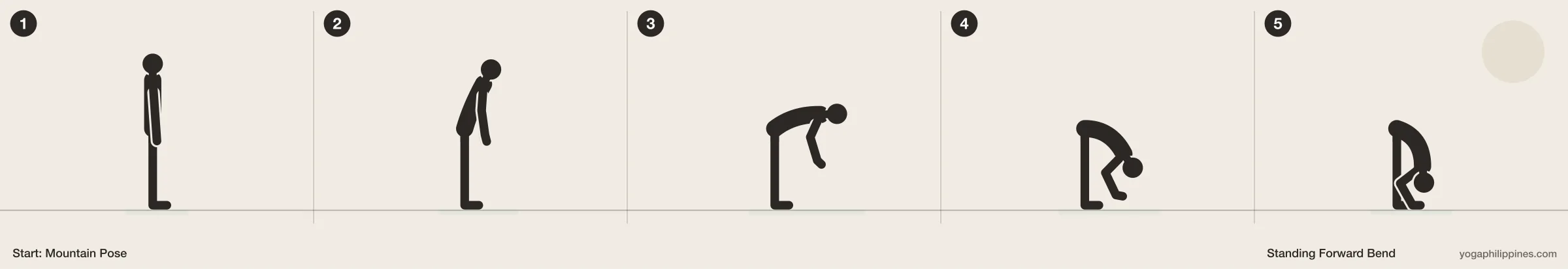 Standing Forward Bend (Uttanasana) step by step: 5 numbered line drawings moving from Mountain Pose into the full pose