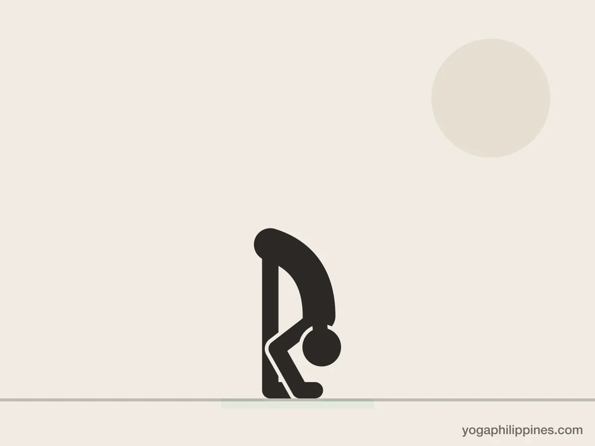 Line drawing of Standing Forward Bend (Uttanasana), side view, the full pose on a yoga mat