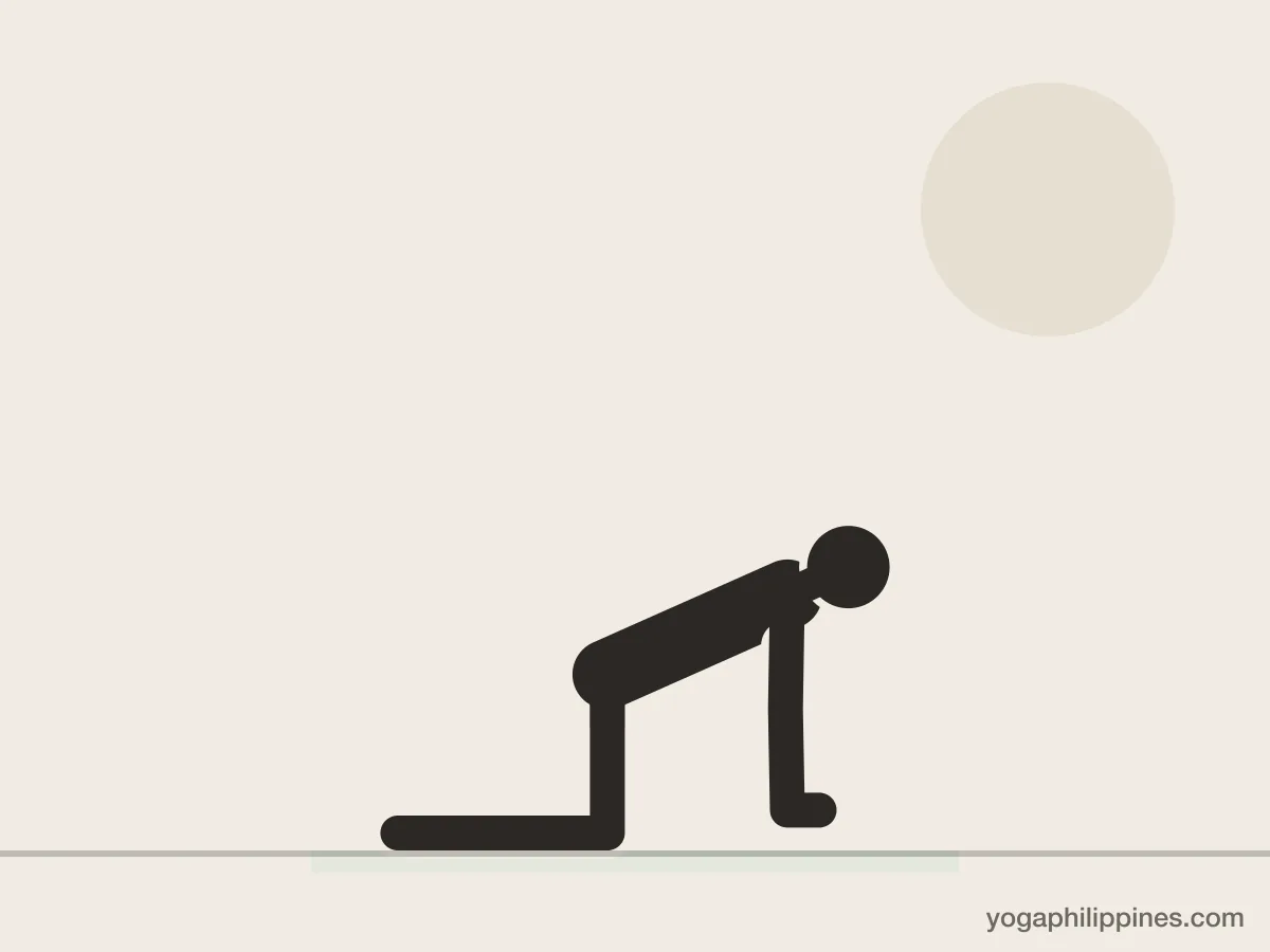 Line drawing of Table Top Pose (Bharmanasana), side view, the full pose on a yoga mat