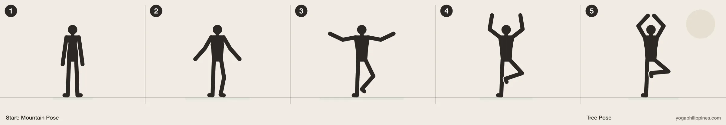 Tree Pose (Vrksasana) step by step: 5 numbered line drawings moving from Mountain Pose into the full pose