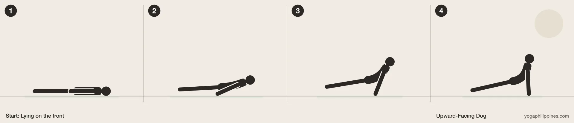 Upward-Facing Dog (Urdhva Mukha Svanasana) step by step: 4 numbered line drawings moving from Lying on the front into the full pose