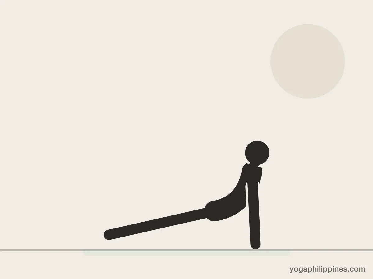 Line drawing of Upward-Facing Dog (Urdhva Mukha Svanasana), side view, the full pose on a yoga mat