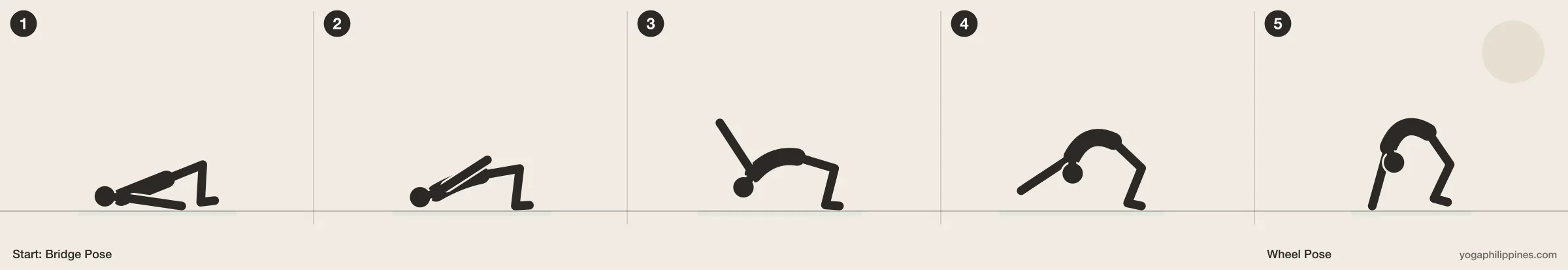 Wheel Pose (Urdhva Dhanurasana) step by step: 5 numbered line drawings moving from Bridge Pose into the full pose