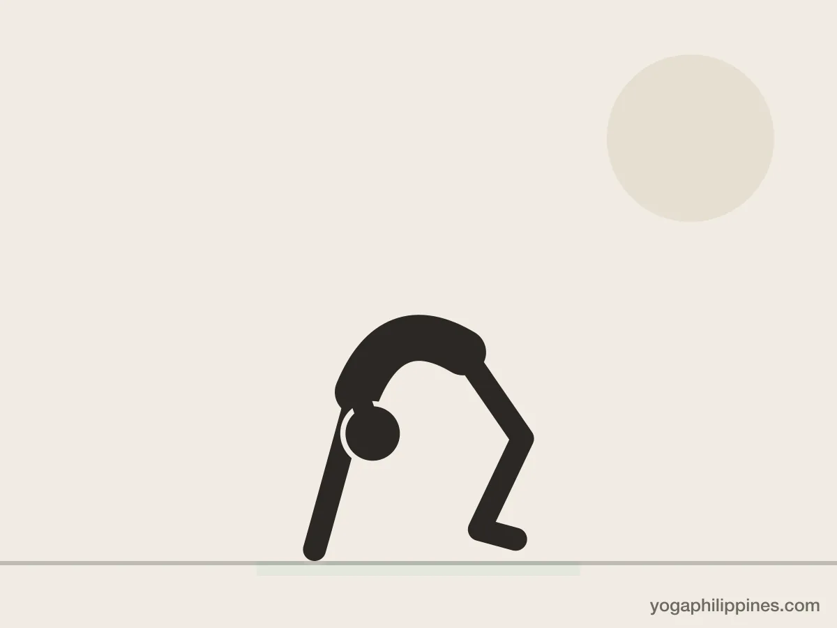 Line drawing of Wheel Pose (Urdhva Dhanurasana), side view, the full pose on a yoga mat