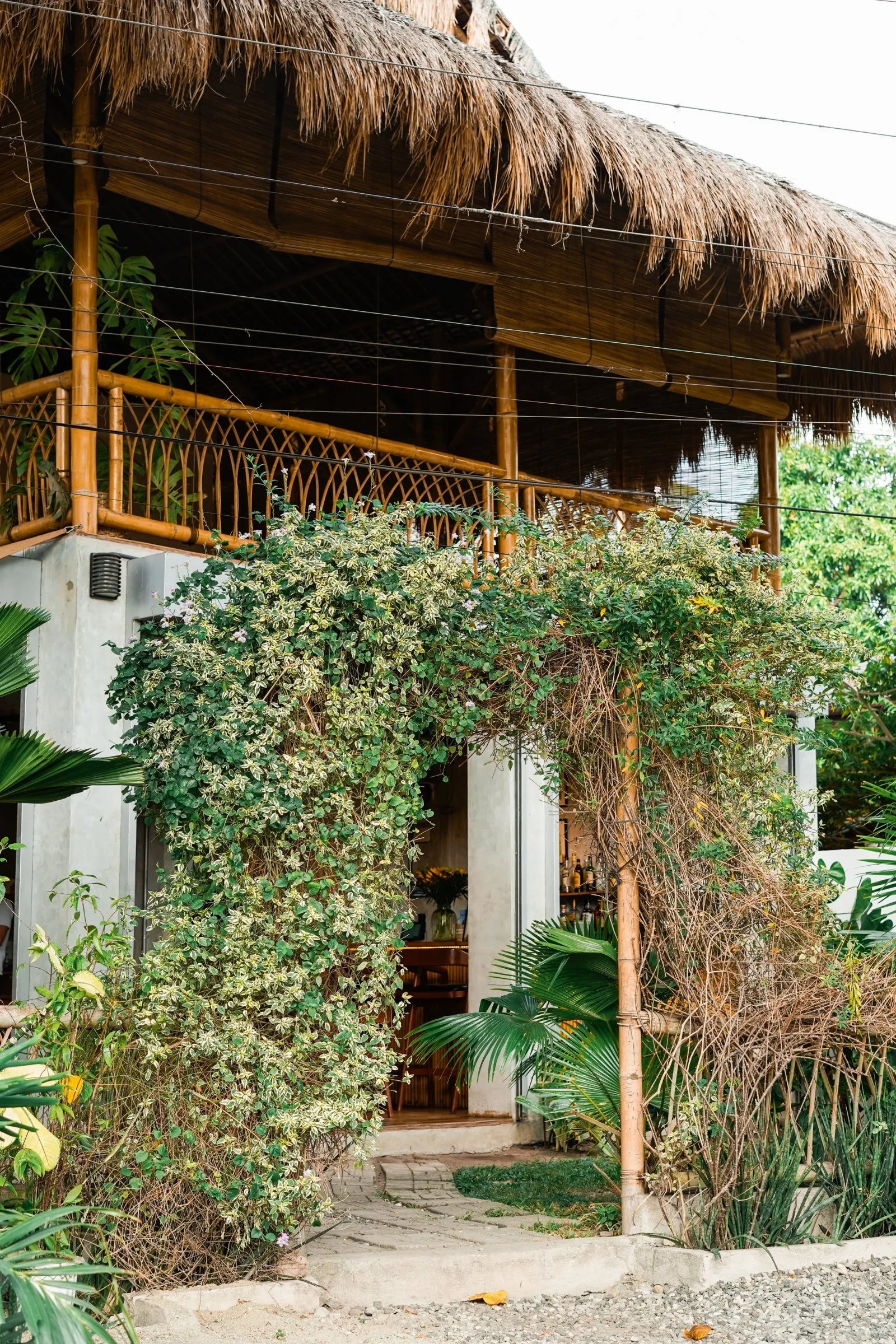 The leafy garden entrance and thatched building at Anahaw Dauin