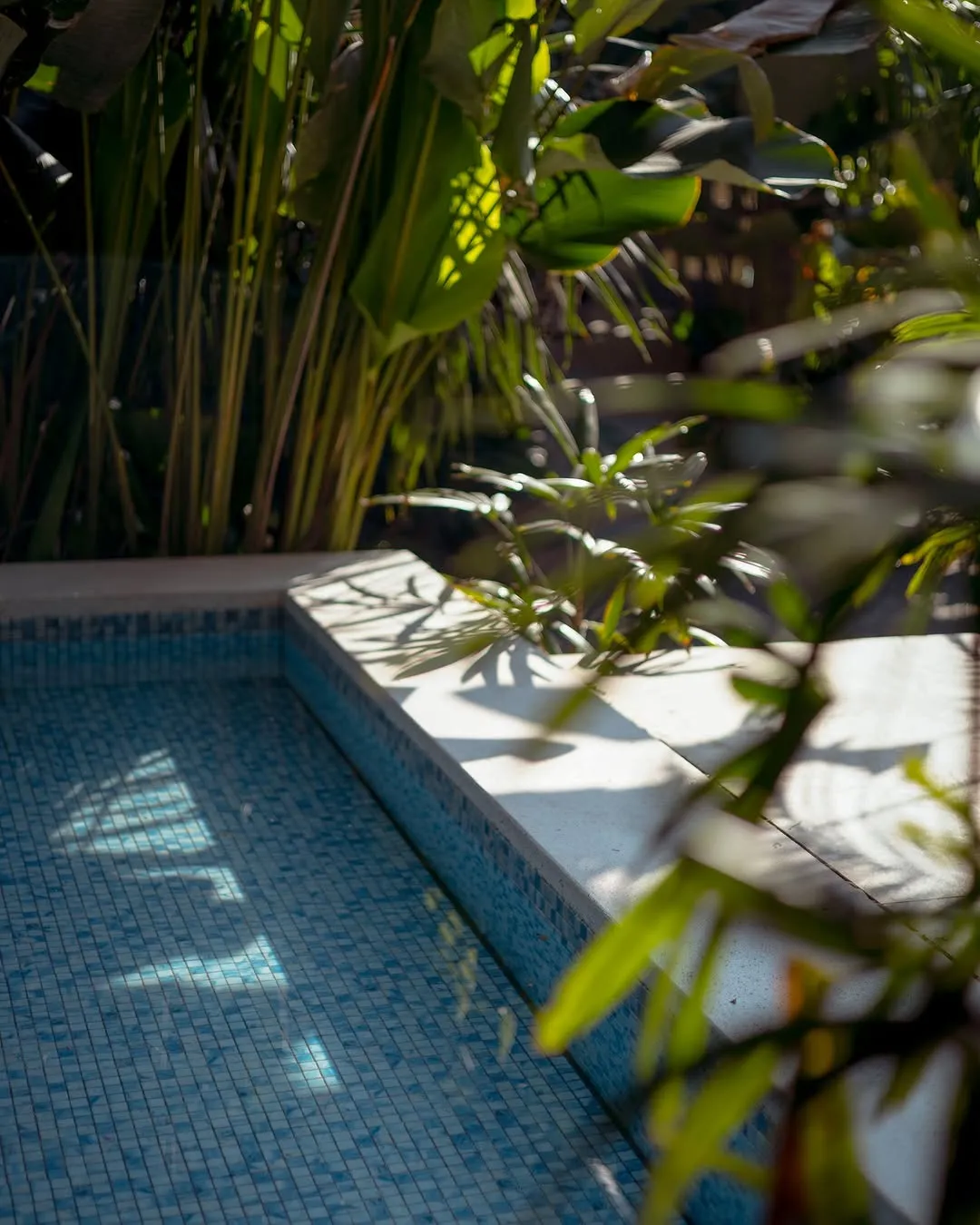 The tiled plunge pool among tropical plants at Anantha Siargao