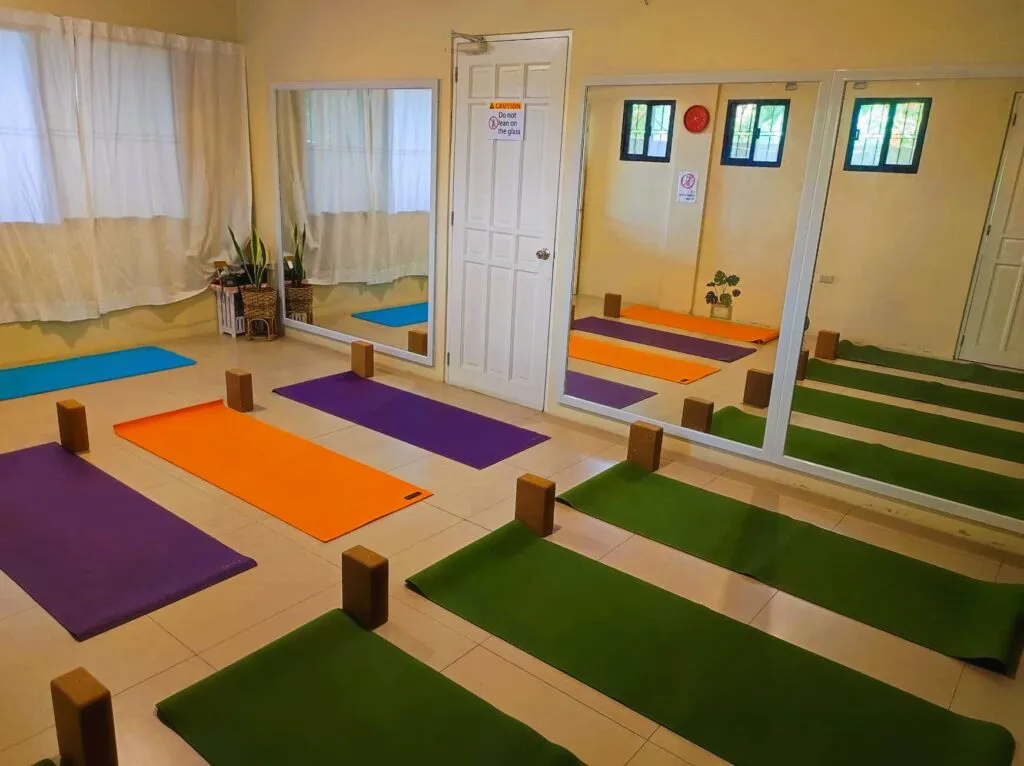 Mats and blocks set out in rows in the mirrored practice room at Ann Yoga Studio