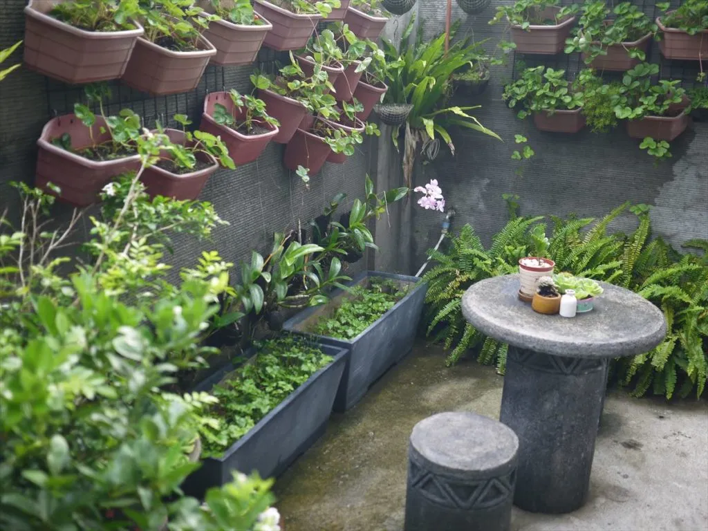 The potted-plant garden with a stone table at Ann Yoga Studio