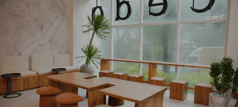The lounge at Cedo Wellness with wooden benches, plants and tall windows