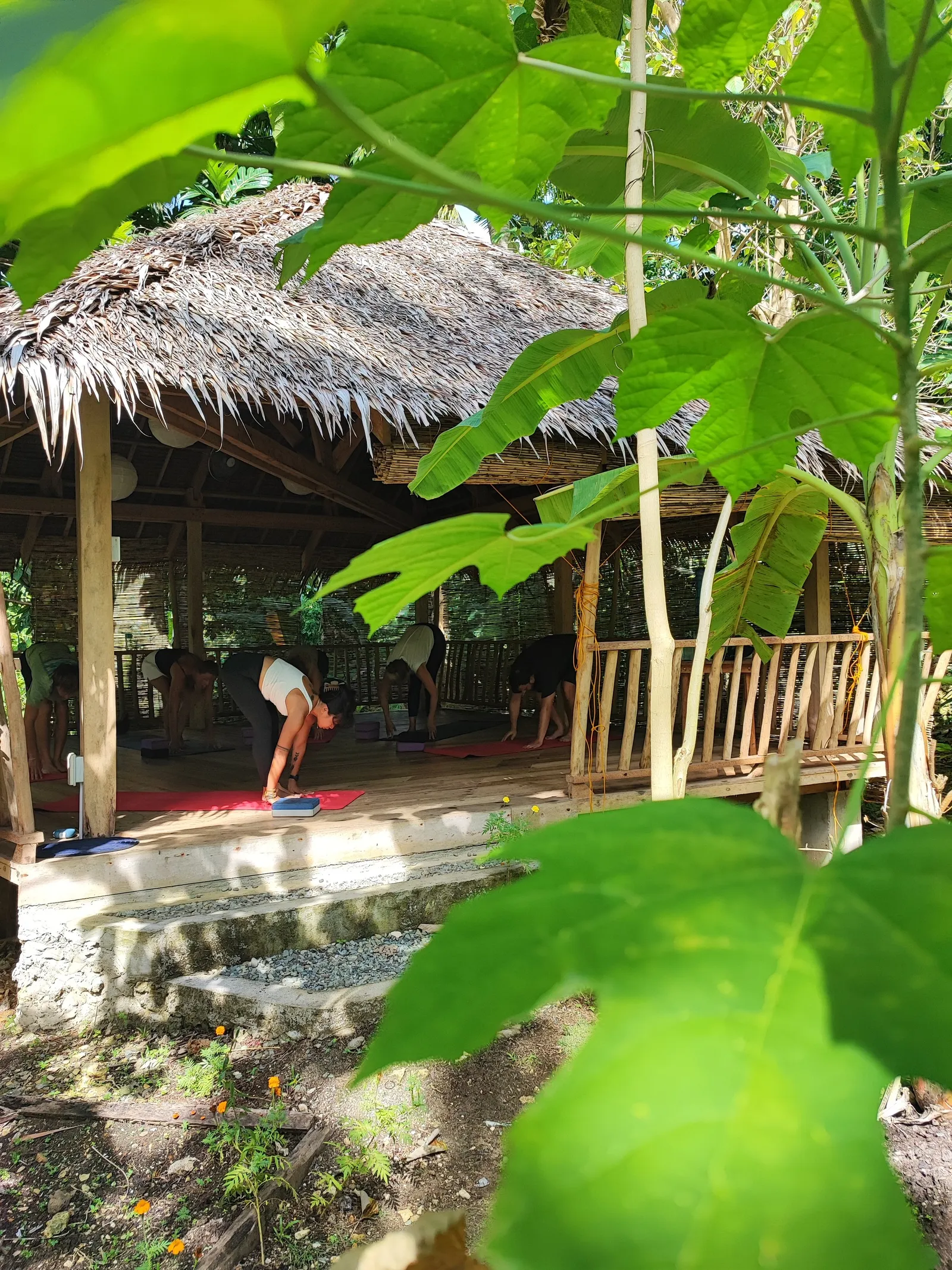 The thatched jungle shala at Emerald House Village seen through leaves