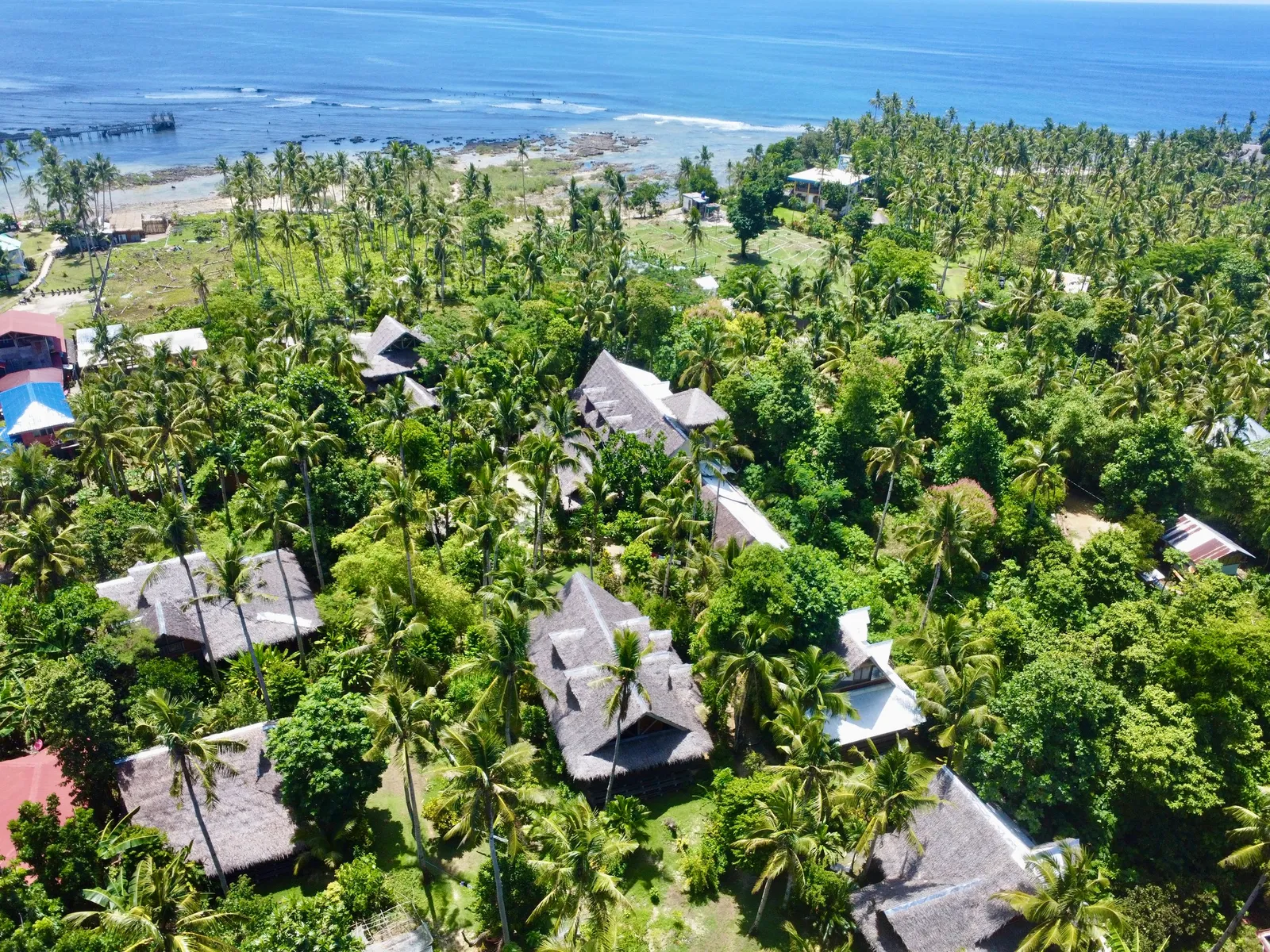 An aerial view of Emerald House Village among palm trees near the coast in Siargao