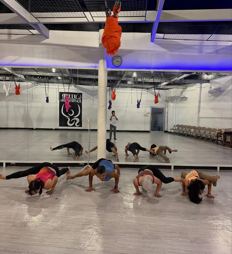 A class in a low plank in the mirrored studio with aerial hammocks at Fluid Movement