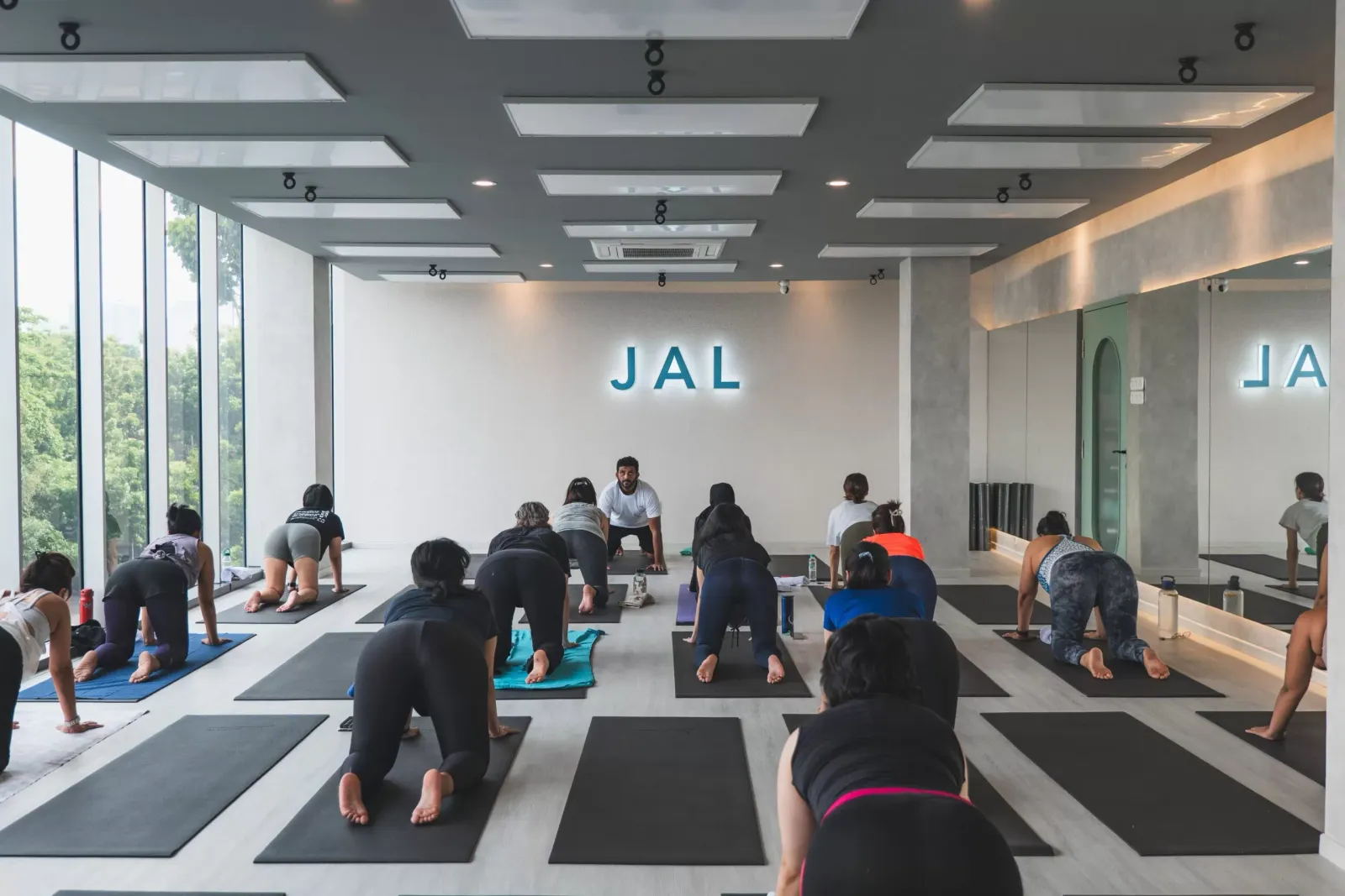 A JAL Yoga class in tabletop pose seen from behind