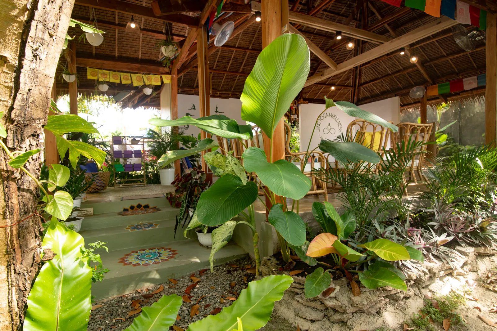 The garden path leading into the shala at Jing Yoga and Wellness