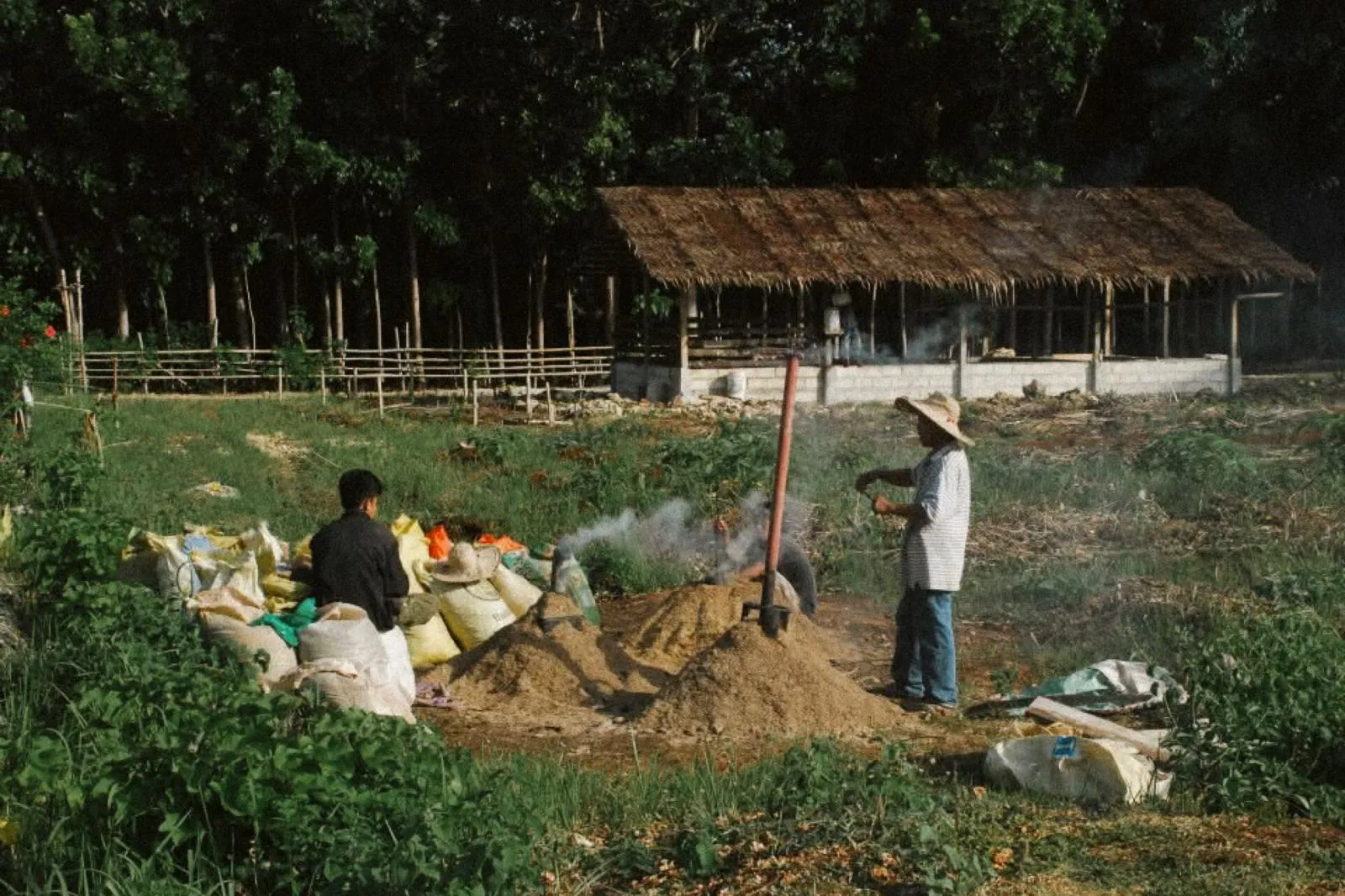 Farm workers by a thatched hut in the fields at Bohol Coco Farm