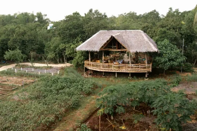 The raised thatched shala among farm fields at Kinaiya, Bohol Coco Farm