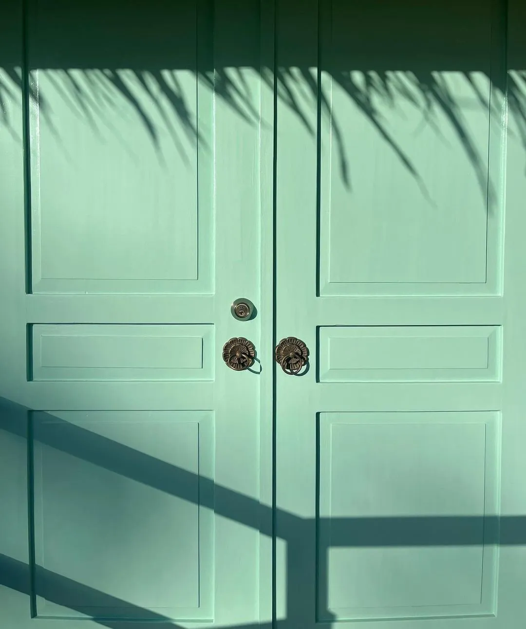The mint-green double doors of Little Shell Yoga Shala with palm shadows
