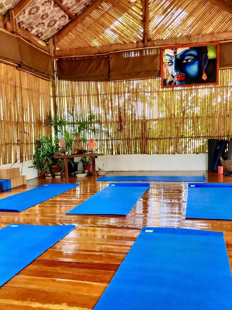 Open-air bamboo yoga shala with blue mats laid out on a wooden floor