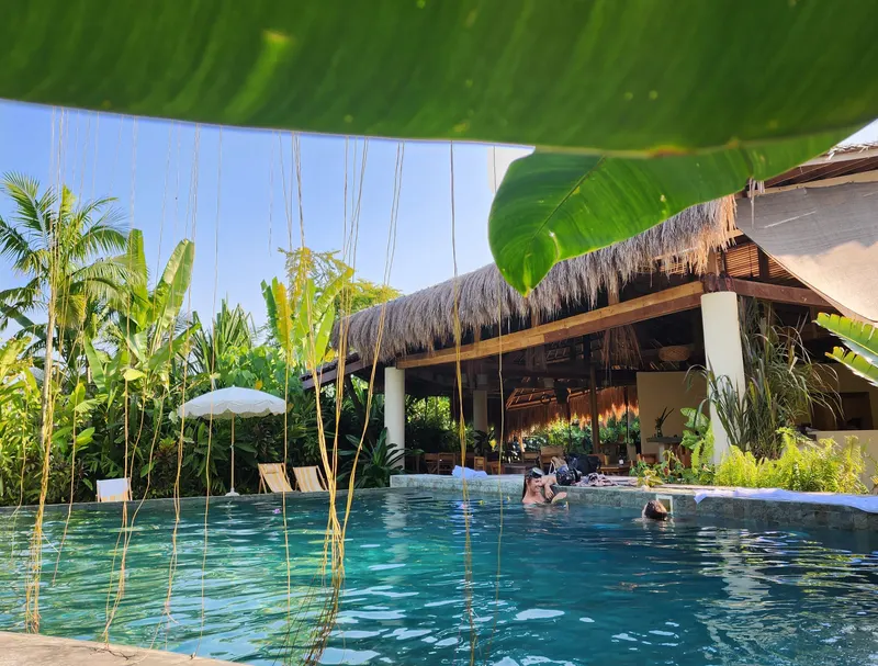 Swimming pool beside a thatched open-air pavilion surrounded by palms