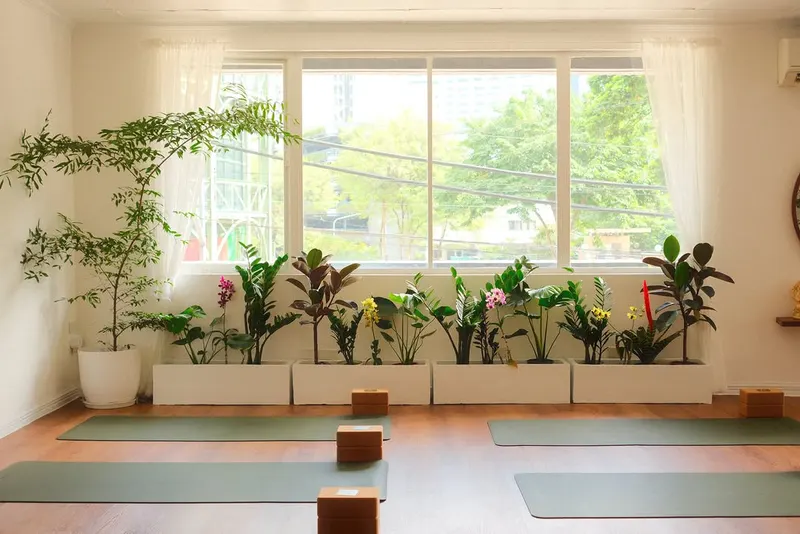 Studio with mats and blocks laid out beneath a window lined with potted plants